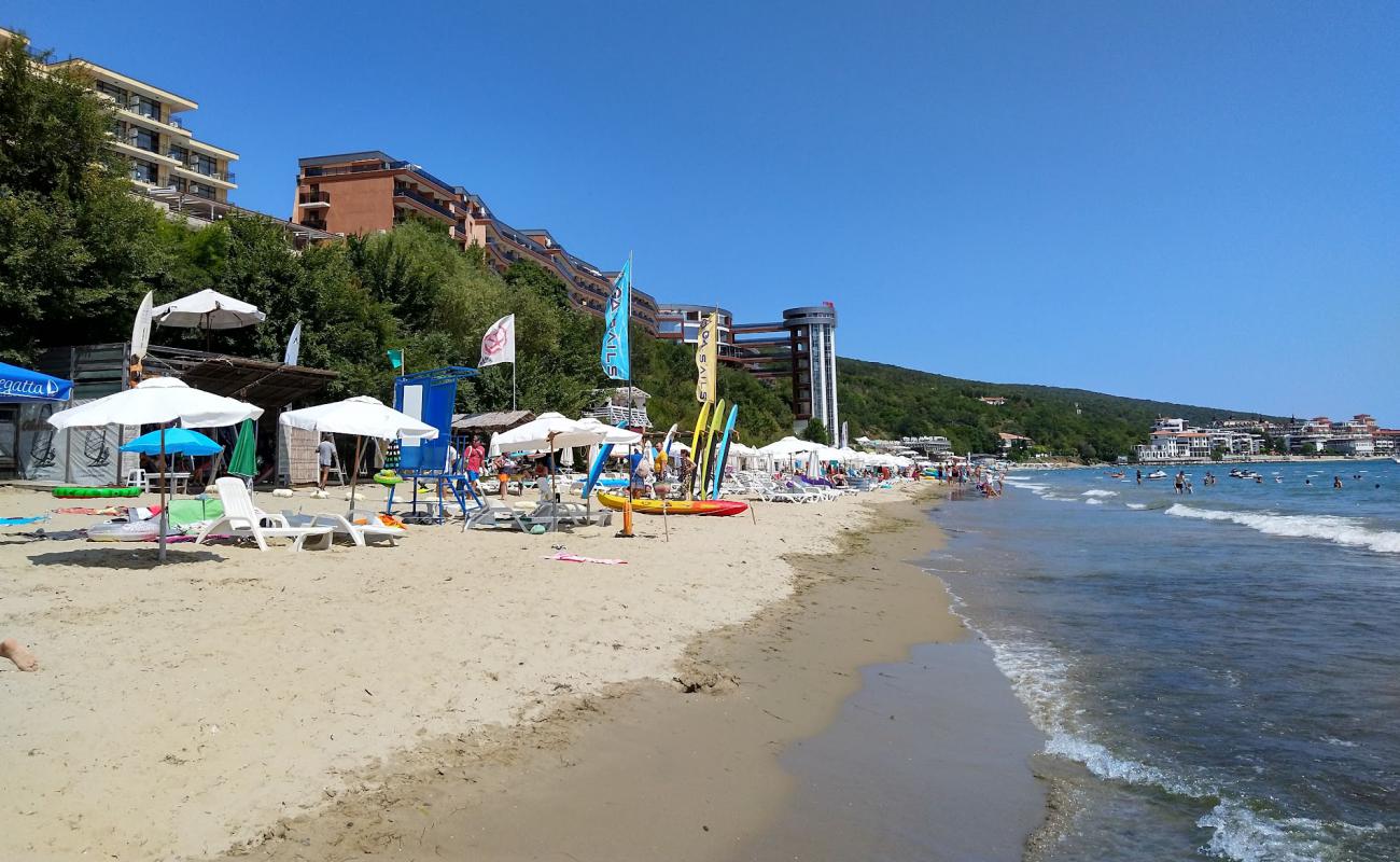 Photo of Paradise beach with white sand surface