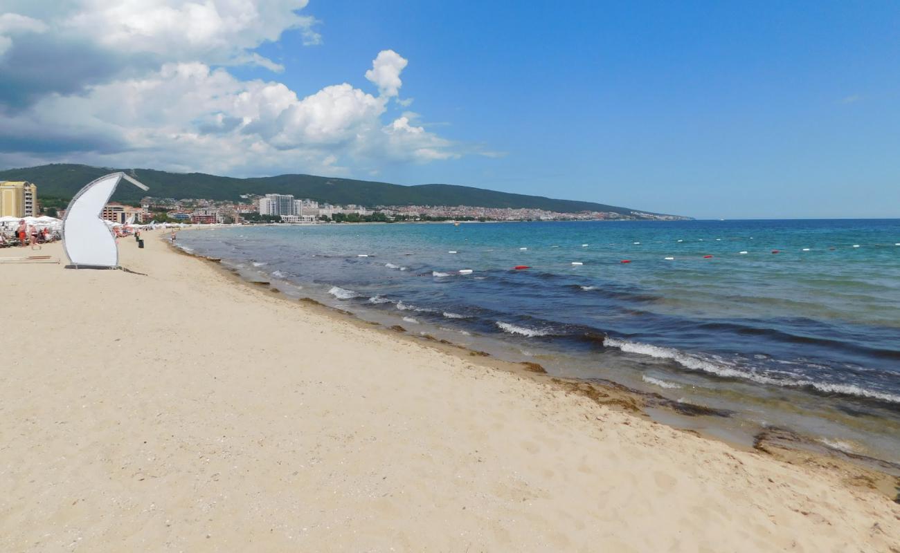 Photo of Sunny beach with bright sand surface