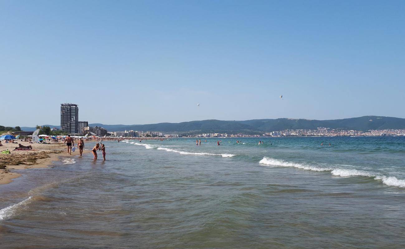 Photo of Sunny nude beach with white fine sand surface