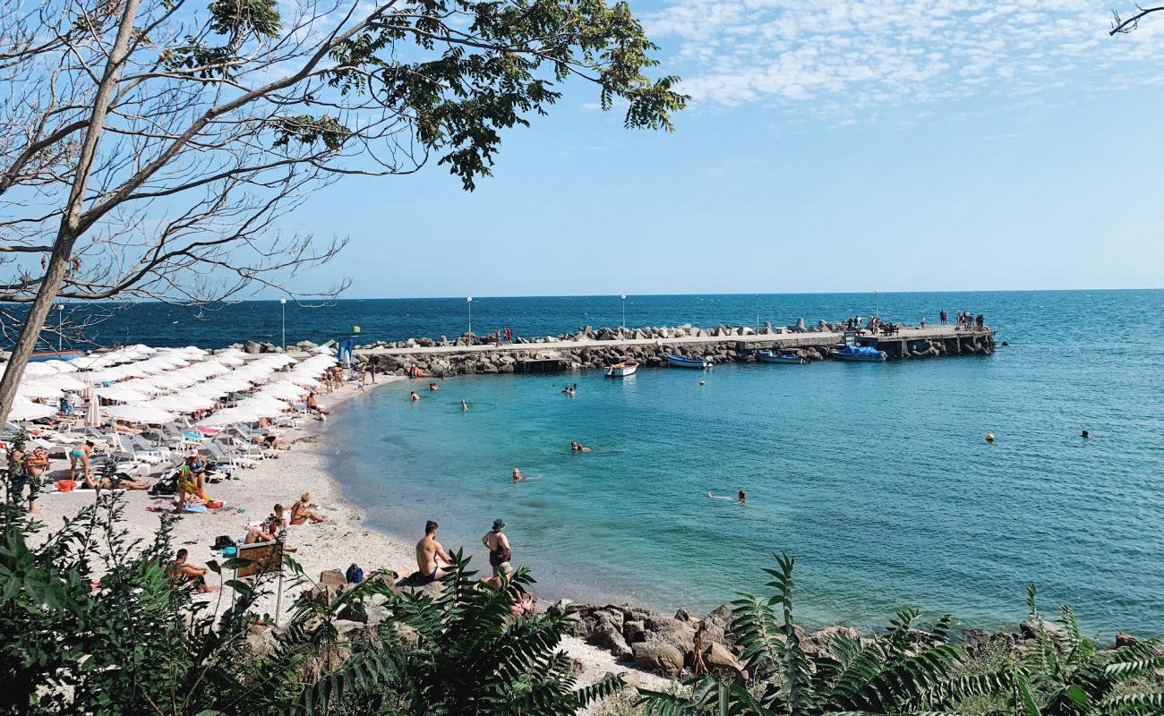 Photo of Buna beach with bright shell sand surface