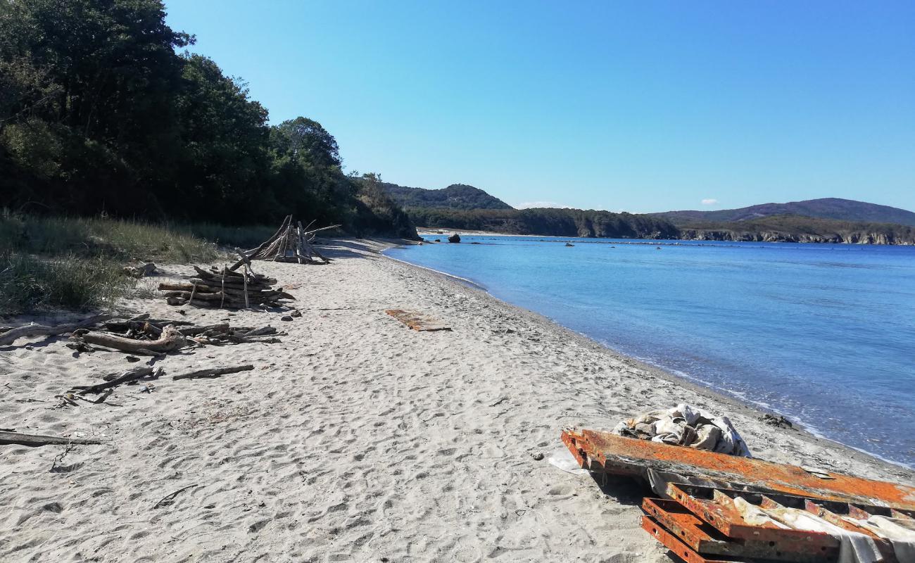 Photo of Ropotamo beach II with bright sand surface