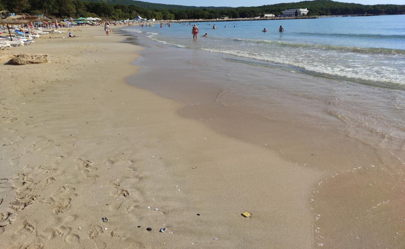 Photo of Pearl beach with bright sand surface