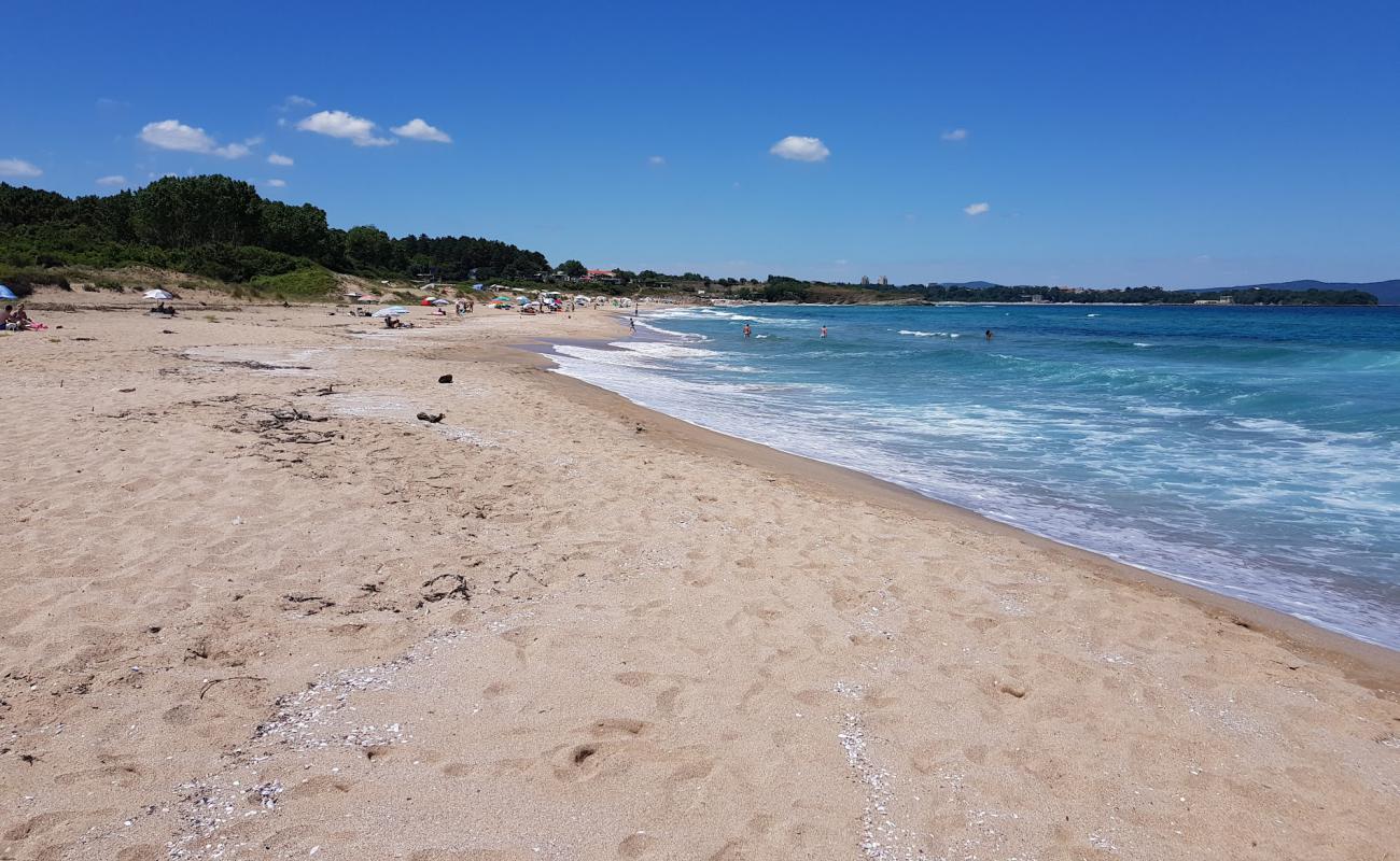 Photo of Coral beach with bright sand surface