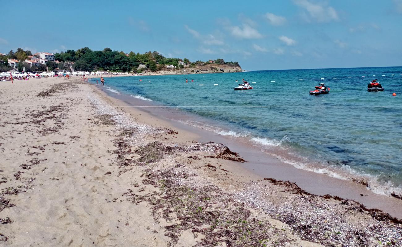 Photo of Oasis beach with bright fine sand surface