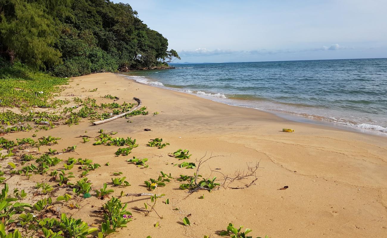 Photo of Lady's Headland with bright sand surface