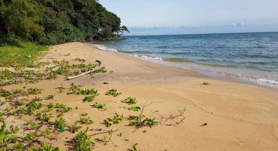 Lady's Headland