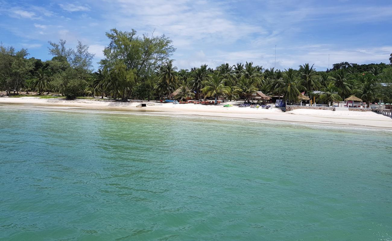 Photo of Nature Beach with bright sand surface