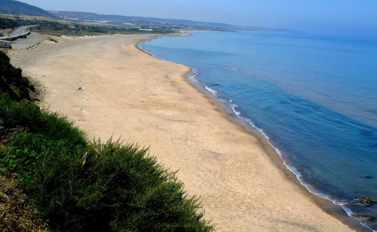 Photo of Dashria beach with bright sand surface