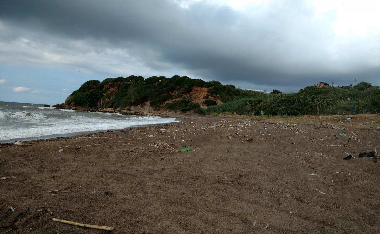 Photo of Plage de Ouled El Belaa with brown sand surface