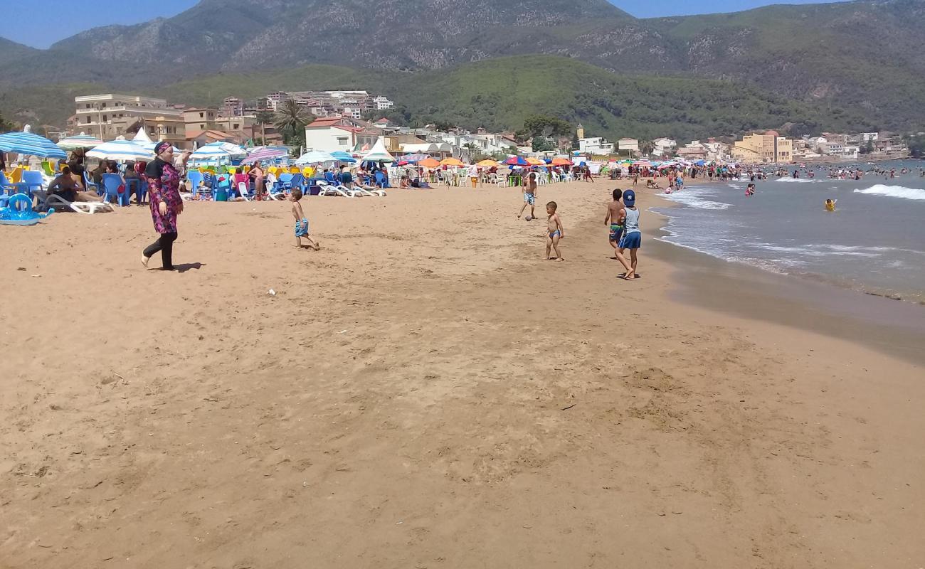 Photo of Chenoua plage with bright sand surface