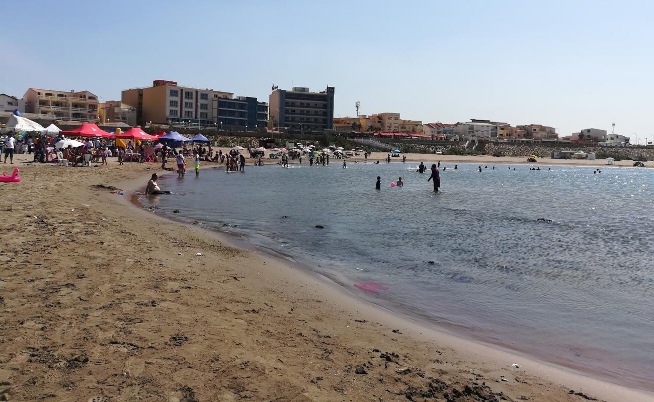 Photo of Palm-beach with bright sand surface