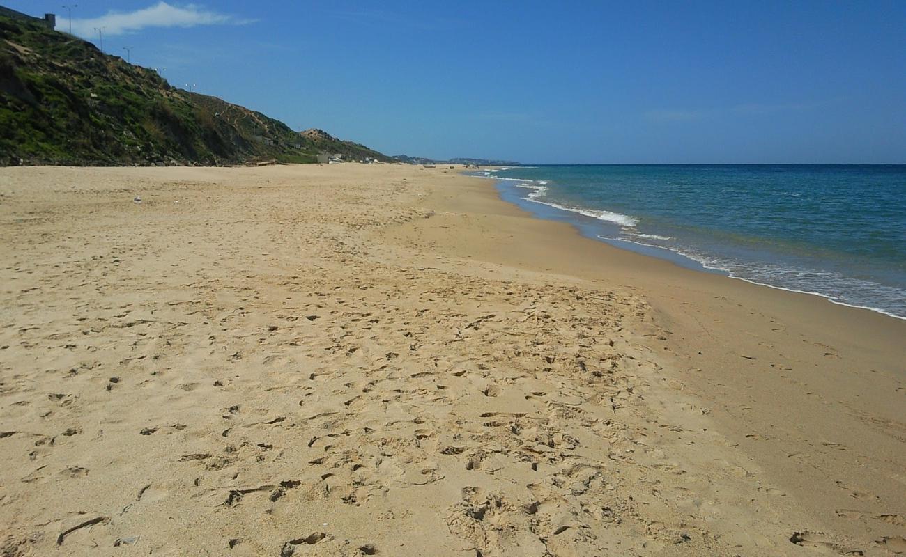 Photo of Reghaia beach with bright fine sand surface