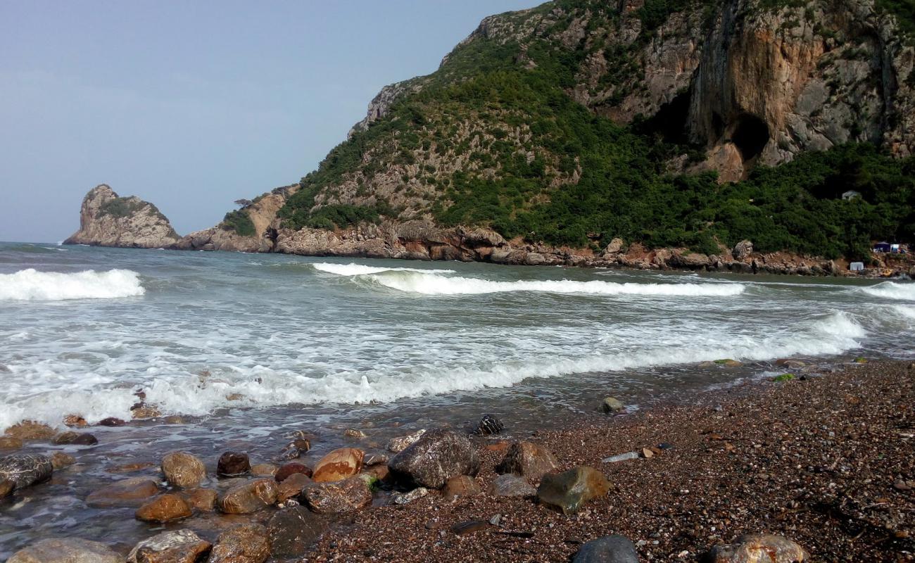 Photo of Sahel with light pebble surface