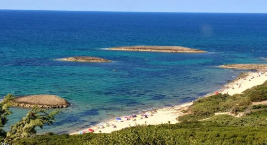 Plage Laouinette