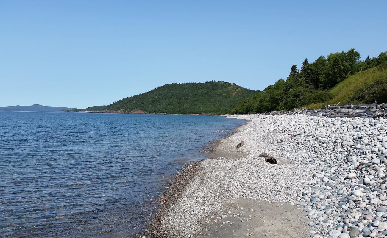 Photo of Pebble beach with light pebble surface