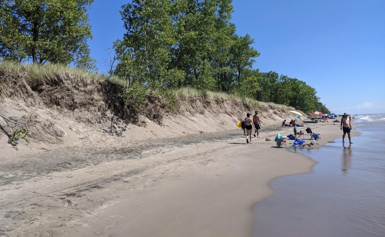 Photo of Long Point Public Beach with bright sand surface