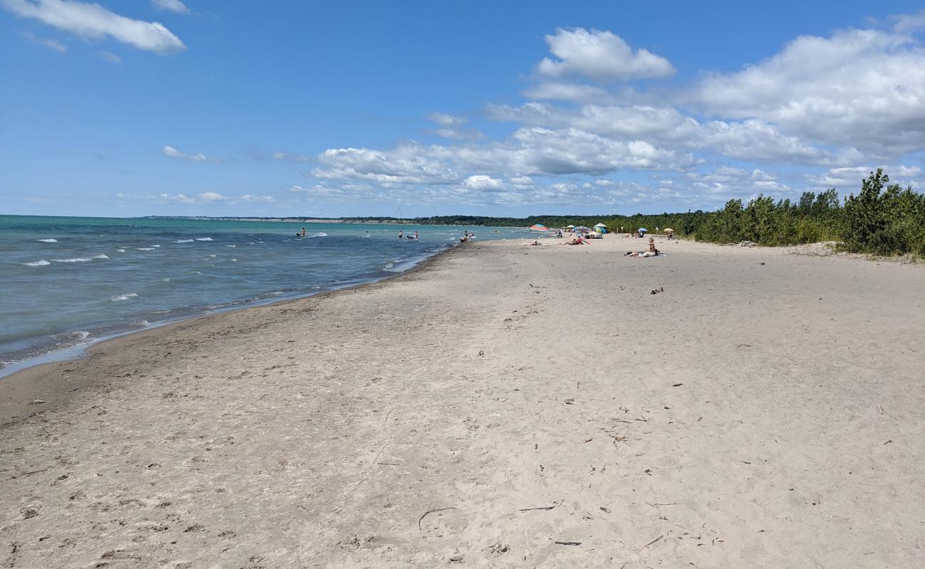 Photo of Dog Beach with bright sand surface