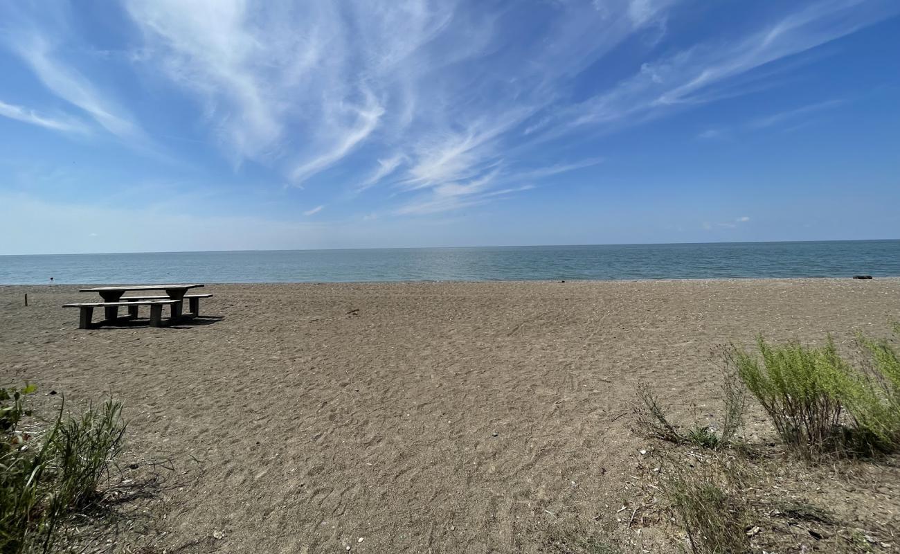 Photo of Black Willow Beach with gray pebble surface