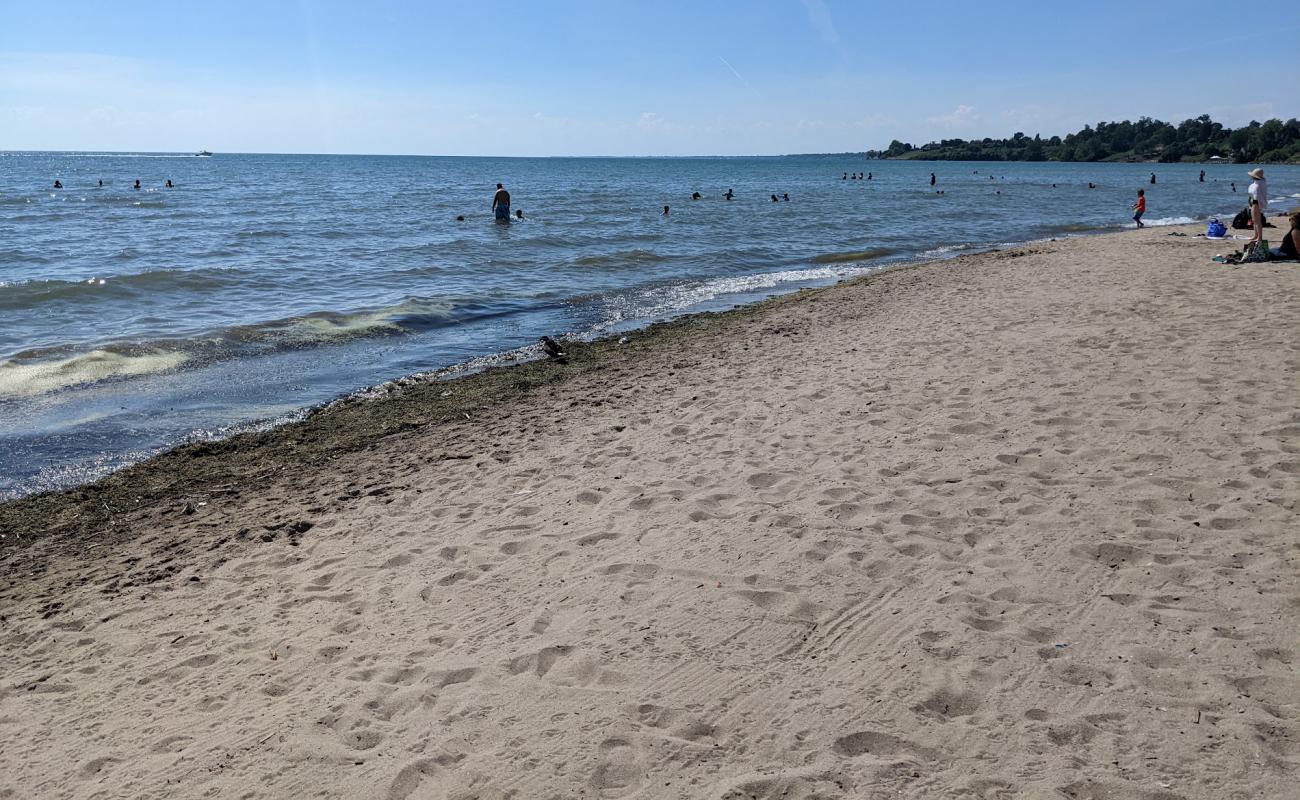 Photo of Seacliff beach with bright sand surface