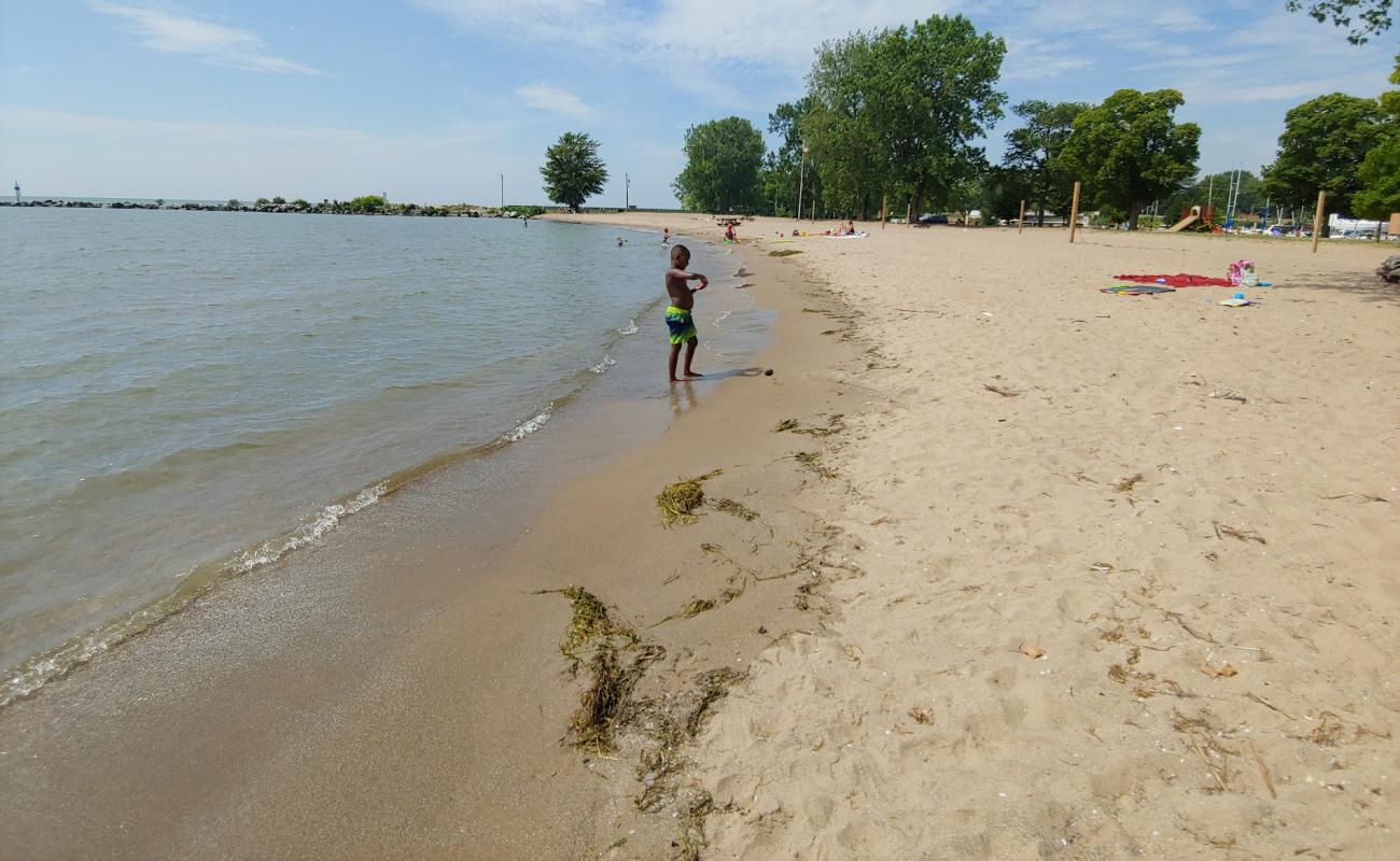 Photo of Cedar Beach Conservation Area with bright sand surface