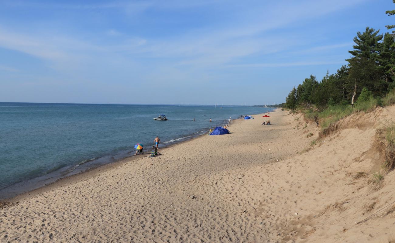 Photo of Pinery Dog Beach with bright sand surface