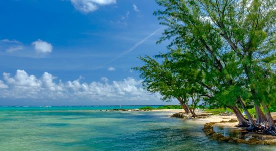 Rum Point beach