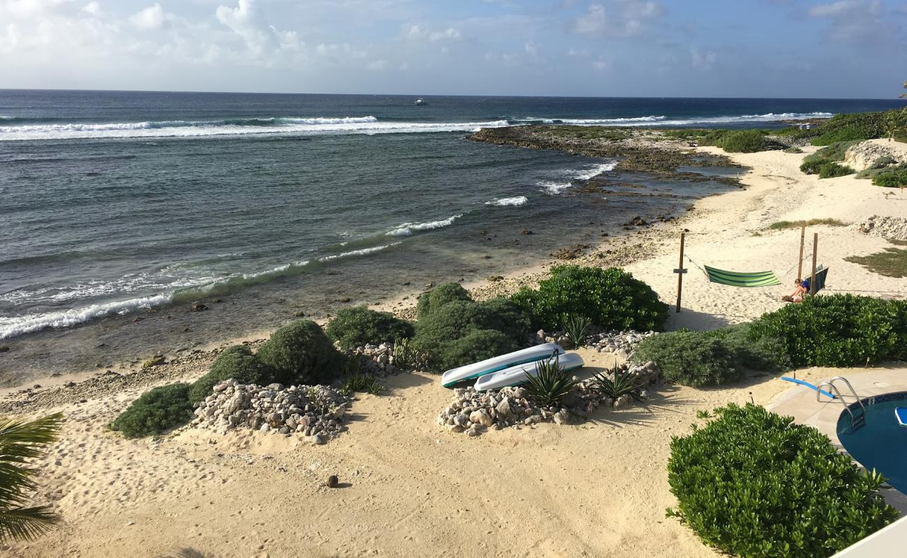 Photo of Crescent beach with bright sand surface