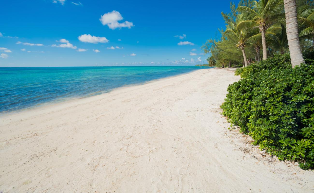 Photo of Cayman Villas beach with bright fine sand surface