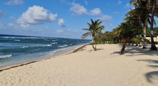 Conch Point beach