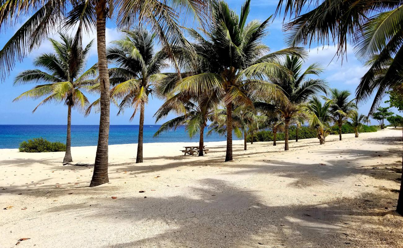 Photo of White Bay beach with bright fine sand surface