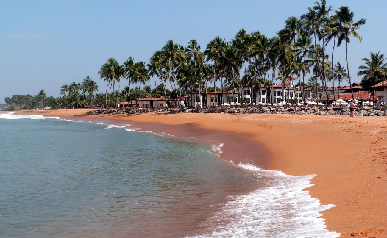 Photo of Dolphin hotel beach with bright sand surface