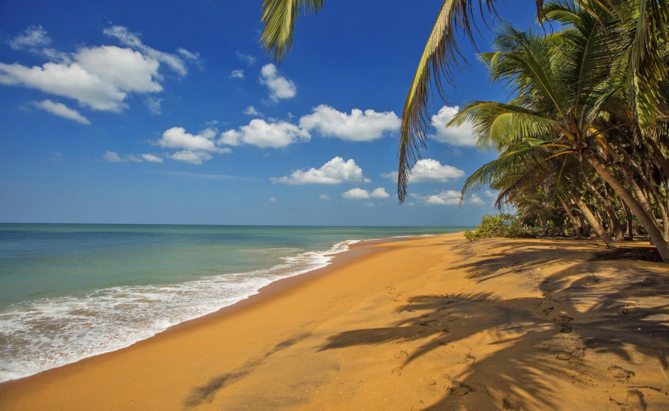 Photo of Marawila beach with bright sand surface