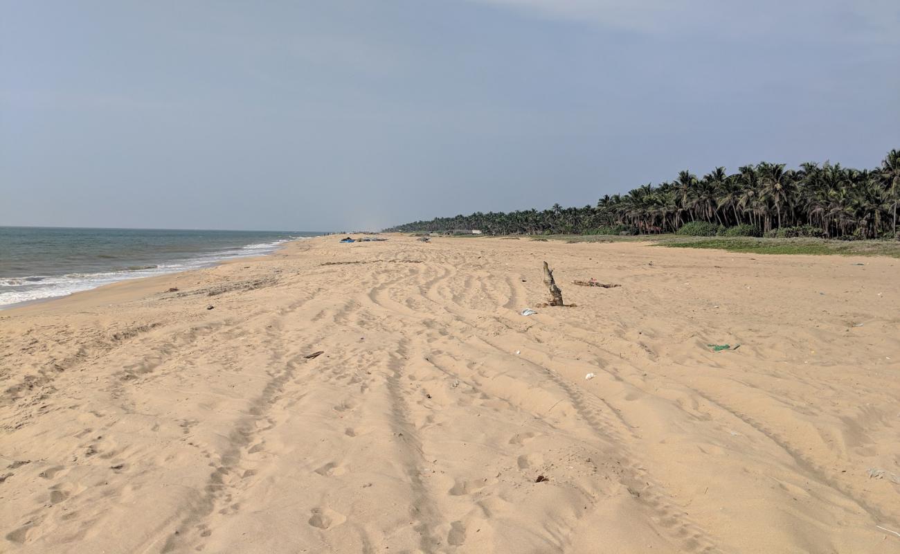 Photo of Udappuwa Beach with bright sand surface