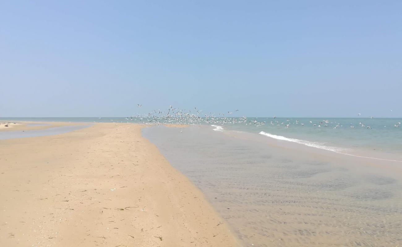 Photo of Talaimannar beach with bright sand surface