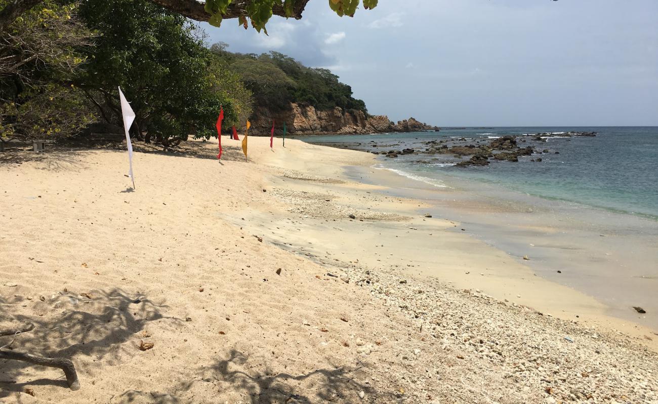 Photo of Coral Cove Beach with bright sand surface