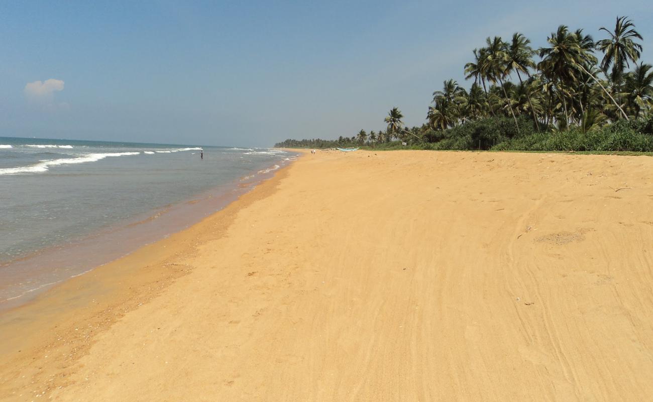 Photo of Pinwatte beach with bright sand surface