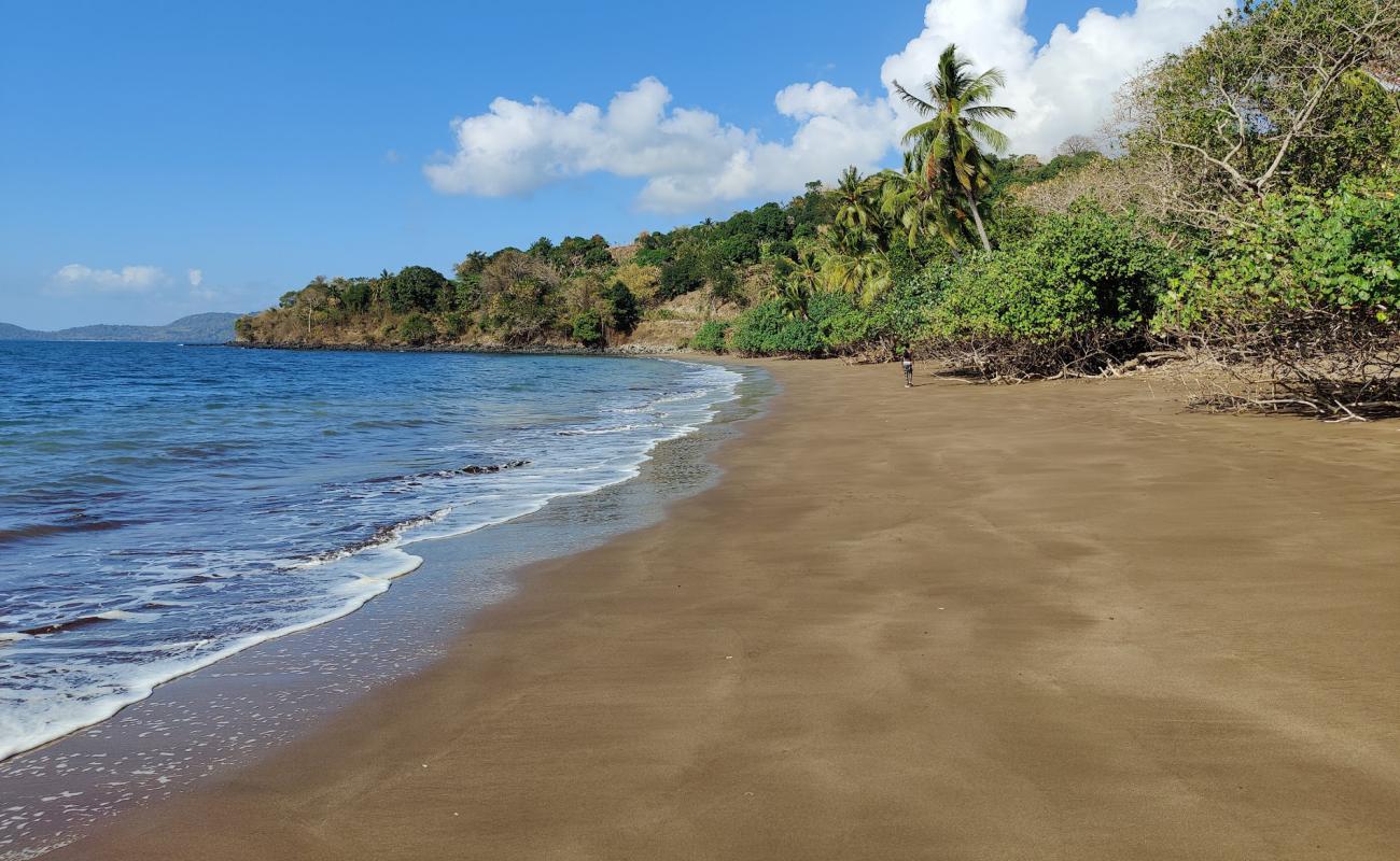 Photo of Musical Beach with brown fine sand surface