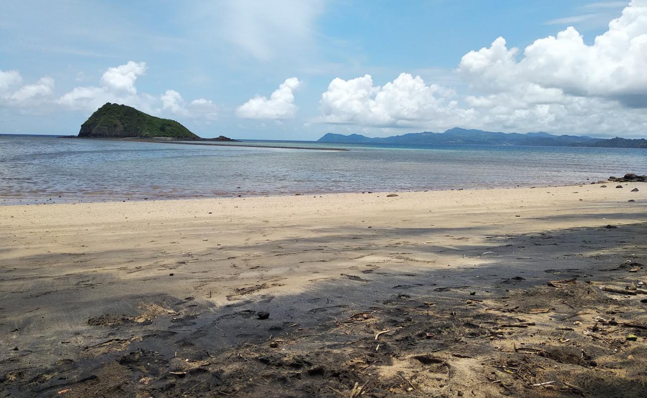 Photo of M'tsaga mtiti Beach with bright sand surface