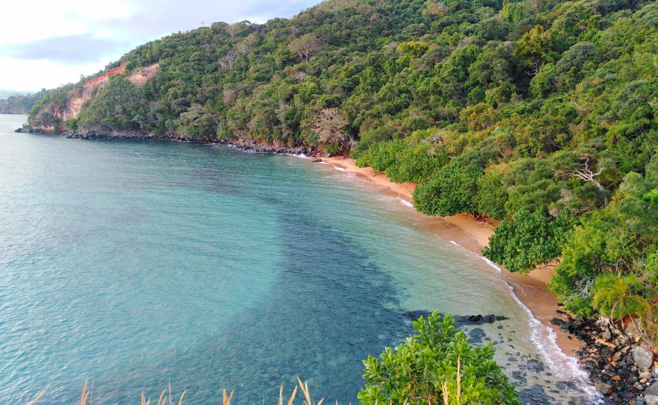 Photo of Turtle Beach with bright sand surface