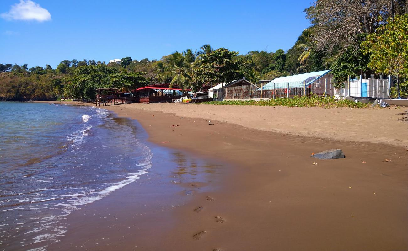 Photo of Trevani Beach with brown sand surface