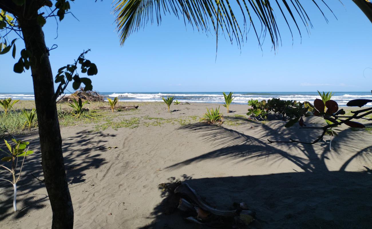 Photo of Playa Bananito with gray sand surface