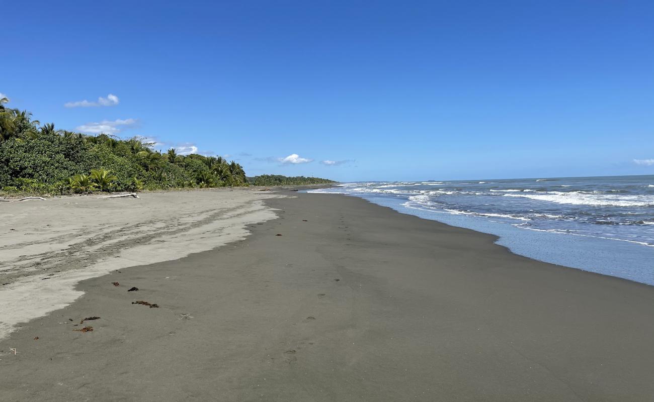 Photo of Palmeras beach with gray sand surface