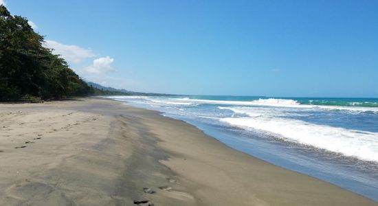 Playa Negra II