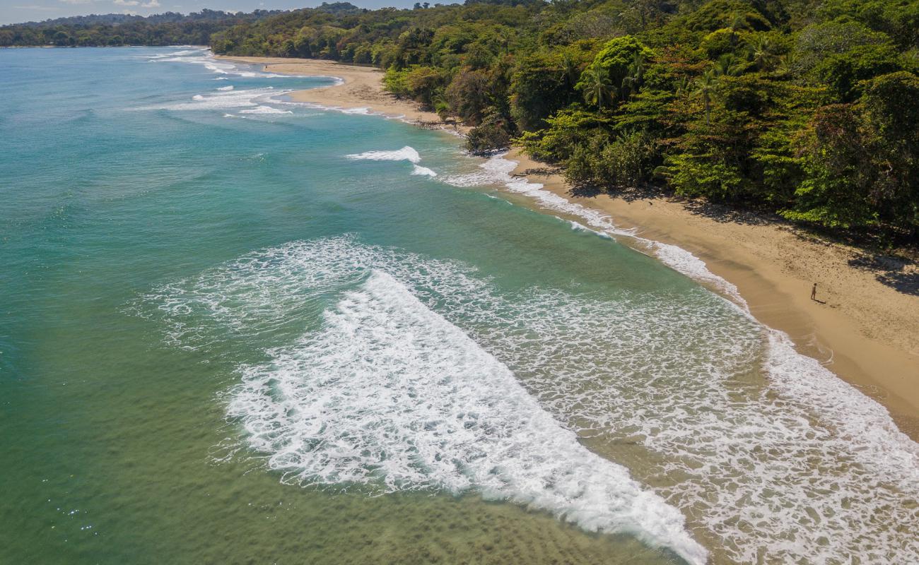 Photo of Cocles beach with bright sand surface