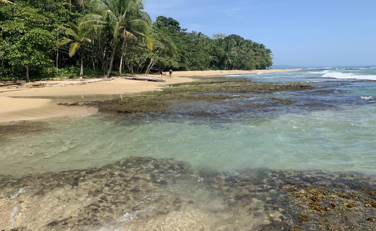 Photo of Chiquita beach with bright sand surface