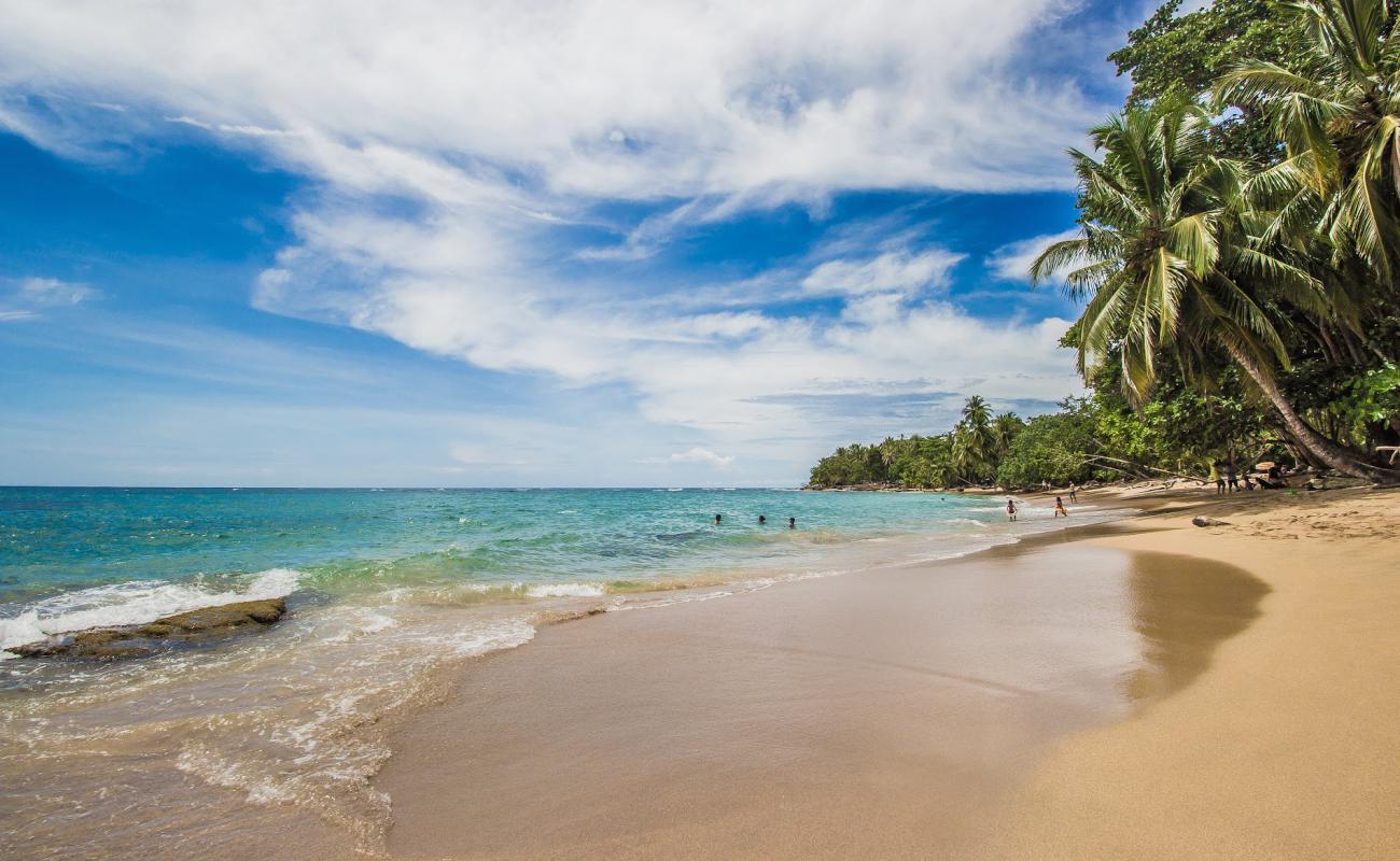 Photo of Punta Uva beach with bright fine sand surface