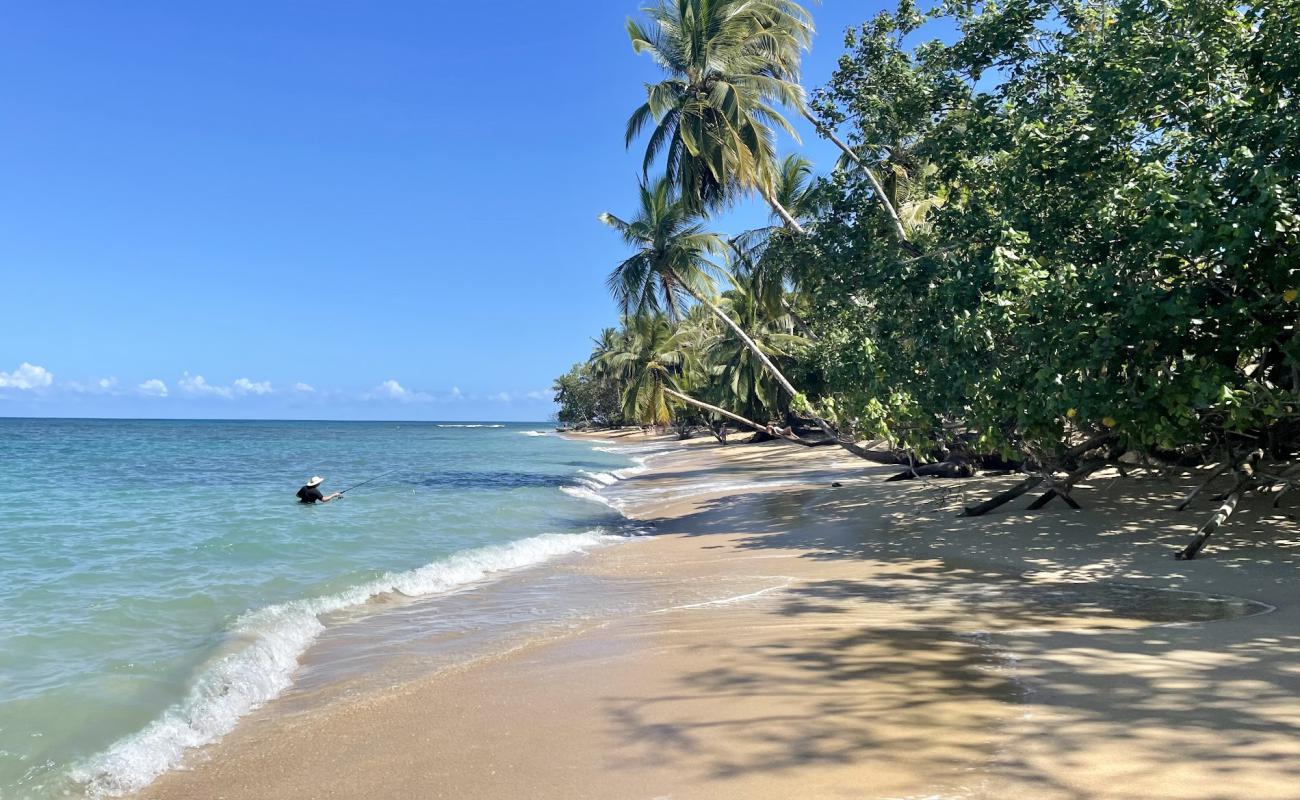 Photo of Punta Uva II beach with bright fine sand surface