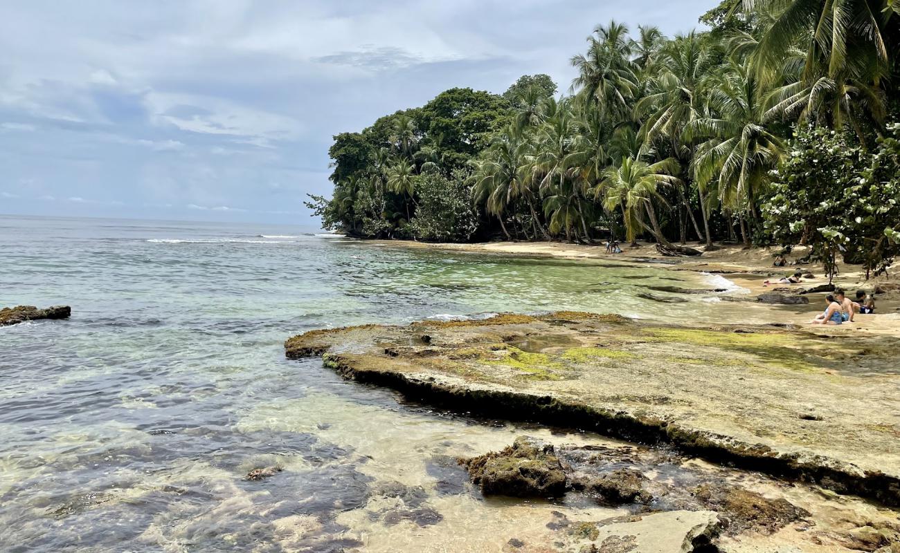 Photo of Punta de Vista beach with bright sand & rocks surface