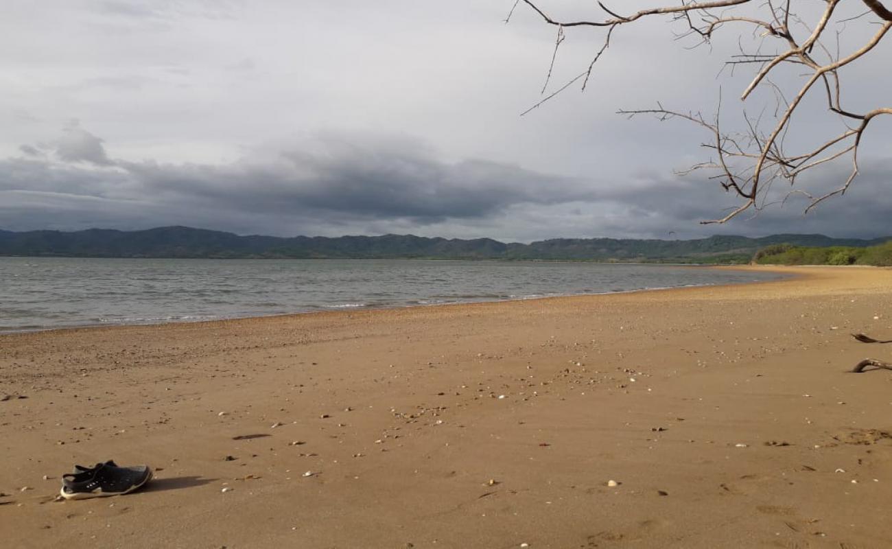 Photo of Pochotes beach with bright sand surface