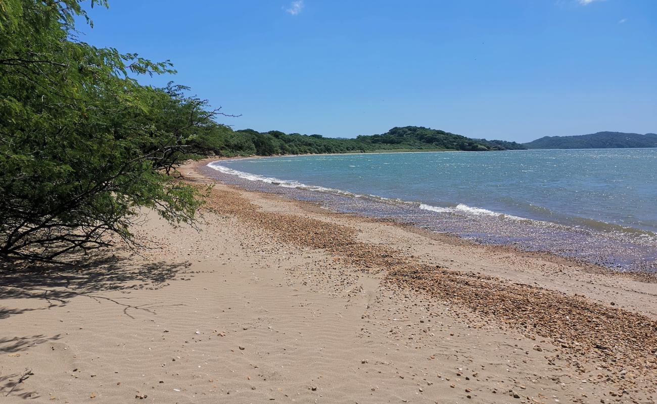 Photo of Papaturro beach with light sand &  pebble surface